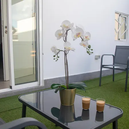 Violeta Appartement *